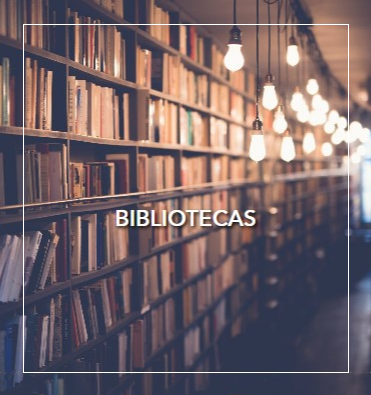 Enlace a visualización de bibliotecas