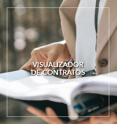 visualizador de contratos