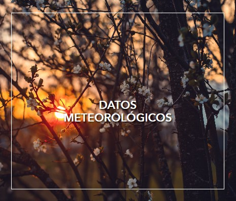 datos meteorológicos