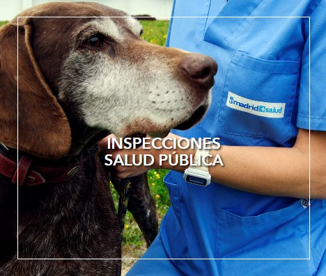 inspecciones salud pública