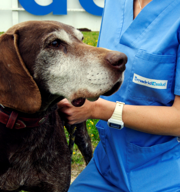 INSPECCIONES SALUD PÚBLICA